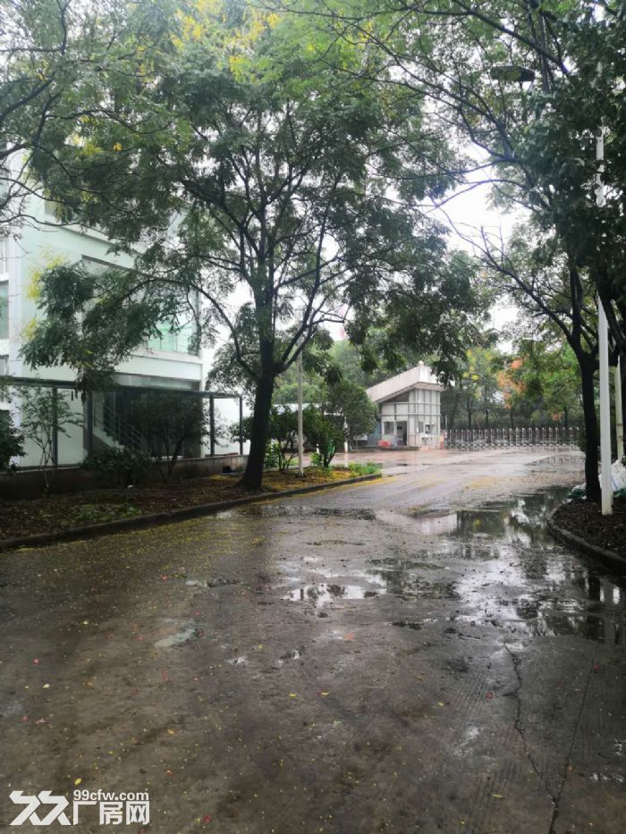 (独门独院40亩场地出租)武汉市沌口经济开发区3万平场地出租