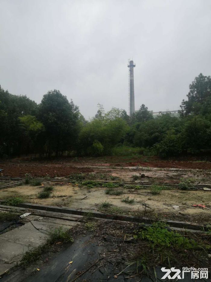 (独门独院40亩场地出租)武汉市沌口经济开发区3万平场地出租-图3
