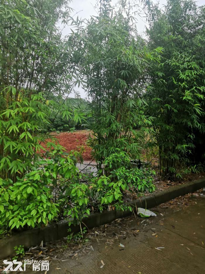 (独门独院40亩场地出租)武汉市沌口经济开发区3万平场地出租-图5