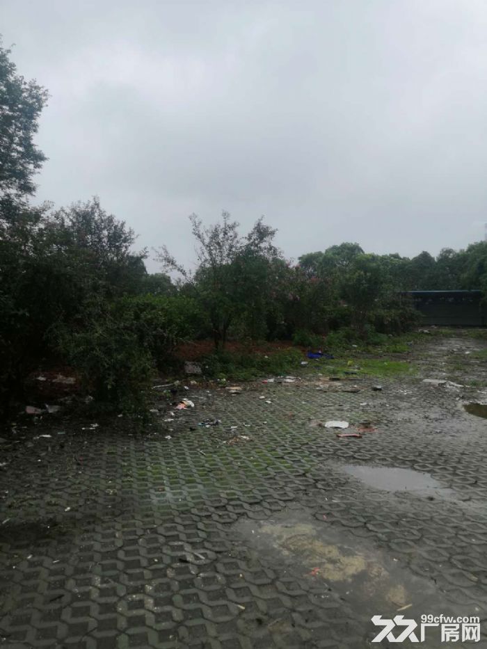 (独门独院40亩场地出租)武汉市沌口经济开发区3万平场地出租-图7