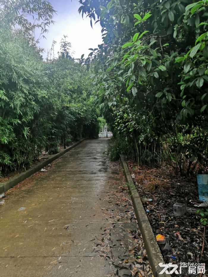 (独门独院40亩场地出租)武汉市沌口经济开发区3万平场地出租-图8